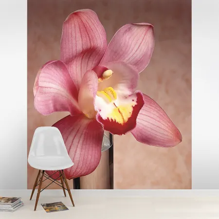 Фотообои Орхидея, арт. 60061, пример фотообоев на стене
