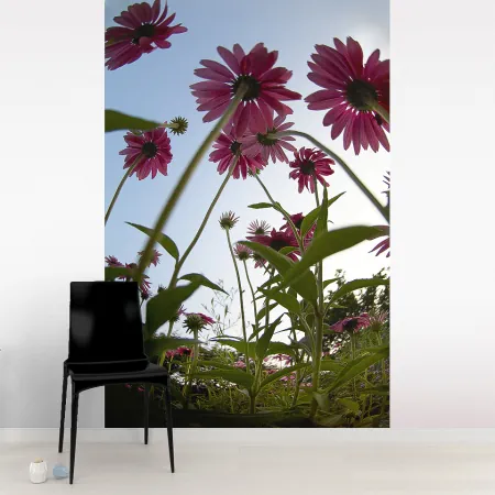 Фотообои Цветы, арт. 60111, пример фотообоев на стене