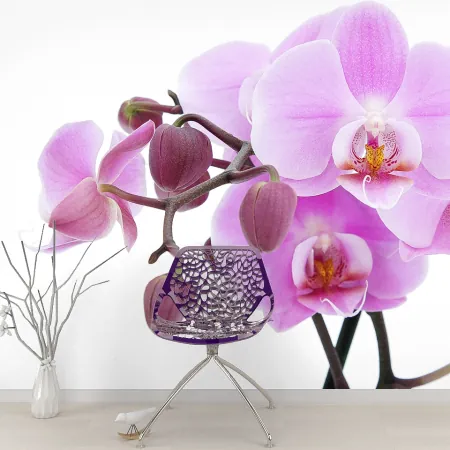 Фотообои Орхидея, арт. 60195, пример фотообоев на стене