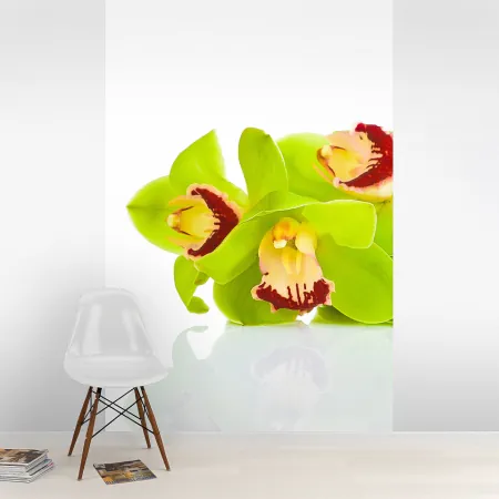 Фотообои Орхидея, арт. 60299, пример фотообоев на стене