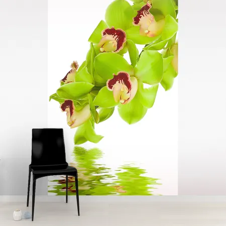 Фотообои Орхидеи, арт. 60301, пример фотообоев на стене
