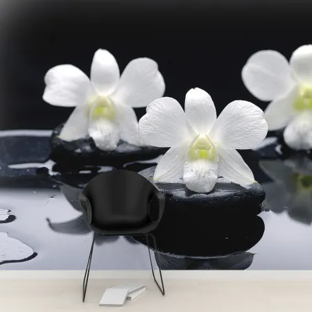 Фотообои Орхидея, арт. 60360, пример фотообоев на стене