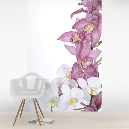Фотообои Орхидея, арт. 60373, пример фотообоев на стене