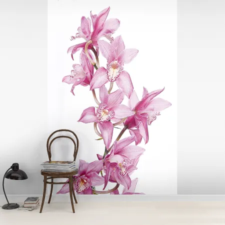 Фотообои Орхидея, арт. 60374, пример фотообоев на стене