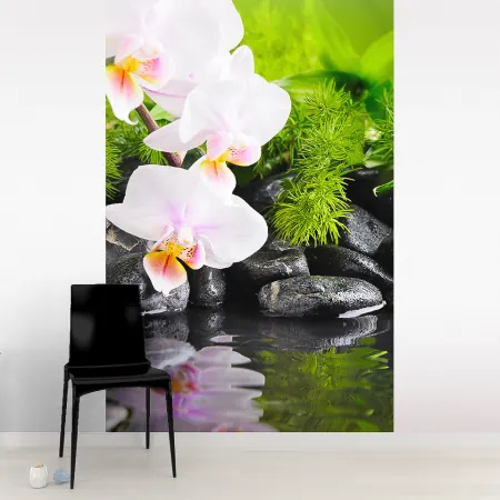 Фотообои Орхидея, арт. 60378, пример фотообоев на стене