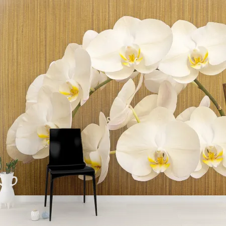 Фотообои Орхидея, арт. 60394, пример фотообоев на стене