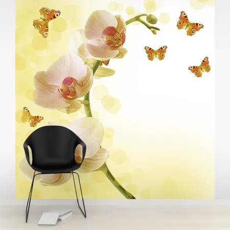 Фотообои Орхидея, арт. 60413, пример фотообоев на стене