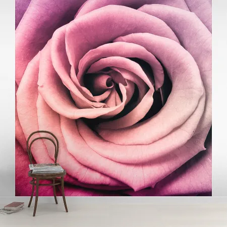 Фотообои Бутон розы, арт. 60441, пример фотообоев на стене