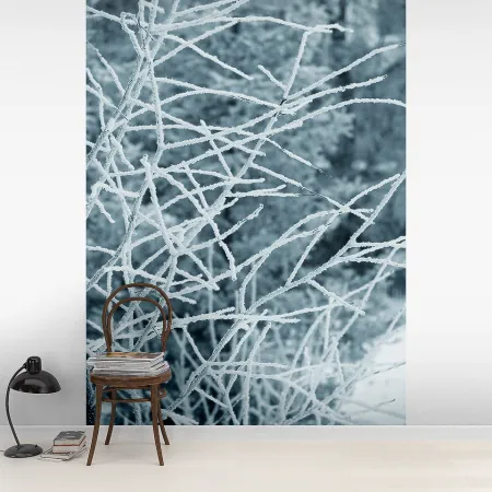 Фотообои Зима, арт. 60454, пример фотообоев на стене
