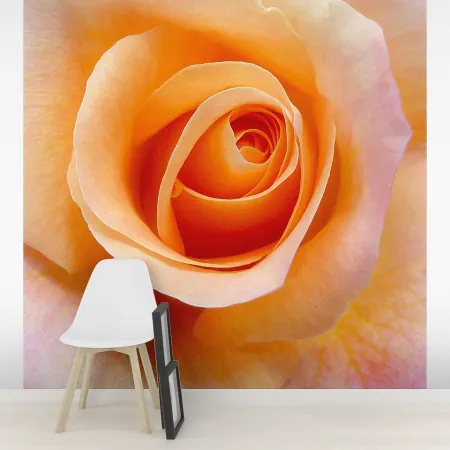 Фотообои Бутон розы, арт. 60464, пример фотообоев на стене