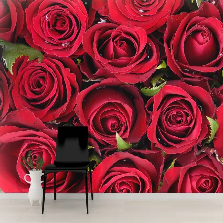 Фотообои Букет красных роз, арт. 60478, пример фотообоев на стене