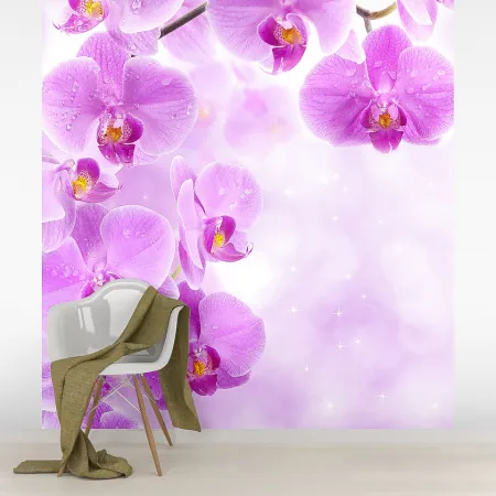 Фотообои Розовые орхидеи, арт. 60480, пример фотообоев на стене