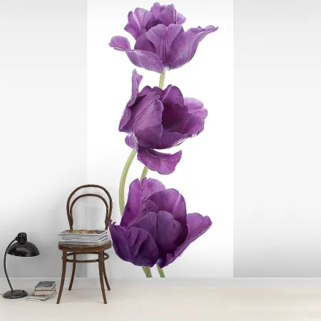 Фотообои Фиолетовые цветы, арт. 60485, пример фотообоев на стене