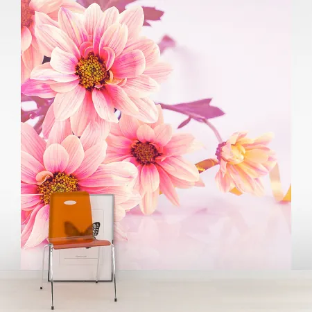 Фотообои Весенние Цветы, арт. 60508, пример фотообоев на стене