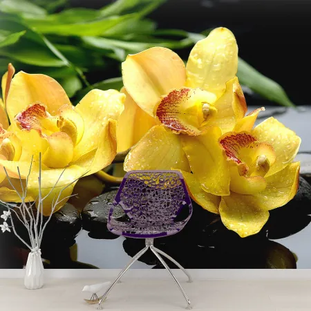 Фотообои Желтые Орхидеи, арт. 60516, пример фотообоев на стене