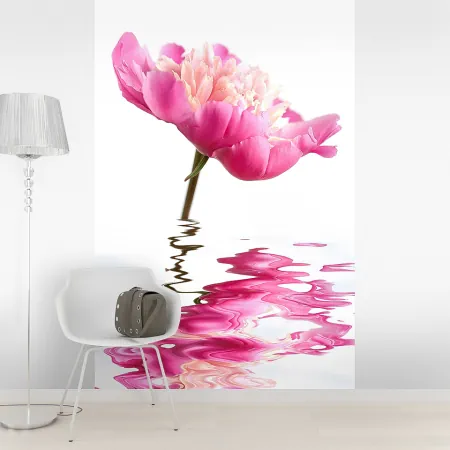 Фотообои Цветок в воде, арт. 60520, пример фотообоев на стене