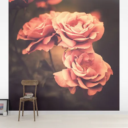 Фотообои Розы в винтажной обработке, арт. 60588, пример фотообоев на стене