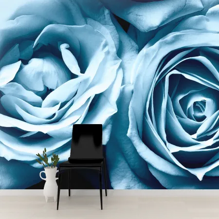 Фотообои Голубые розы, арт. 60595, пример фотообоев на стене