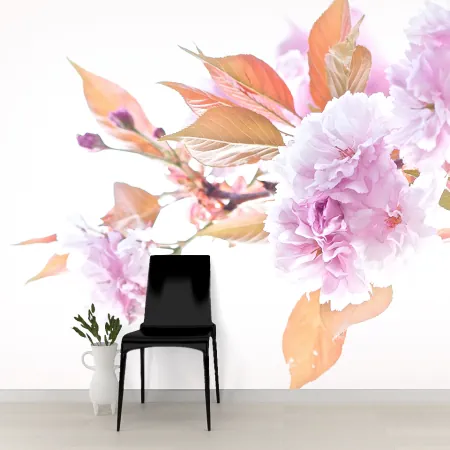 Фотообои Ветвь цветущей сакуры, арт. 60611, пример фотообоев на стене