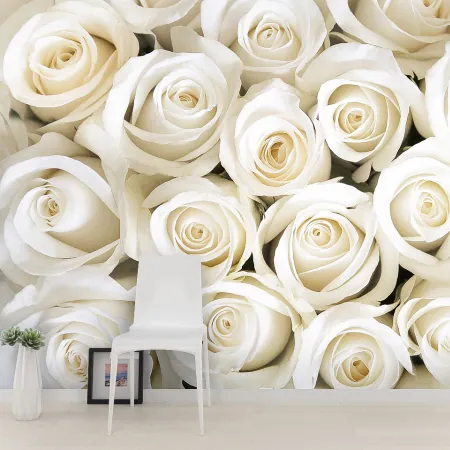 Фотообои Белые розы, арт. 60616, пример фотообоев на стене