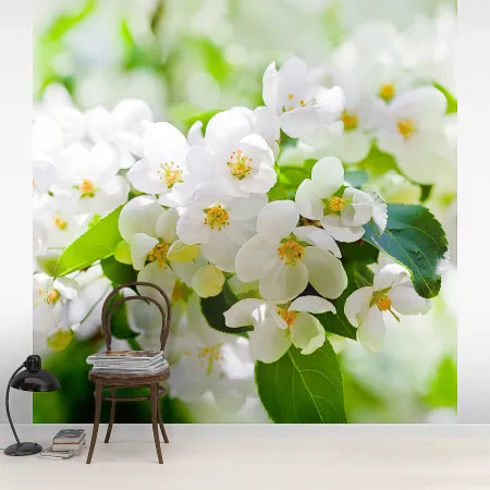 Фотообои Цветущая ветка яблони, арт. 60618, пример фотообоев на стене