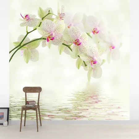 Фотообои Белая орхидея, арт. 60619, пример фотообоев на стене