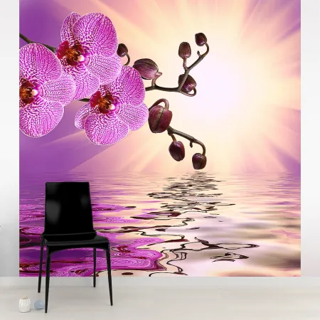 Фотообои Розовая орхидея, арт. 60622, пример фотообоев на стене