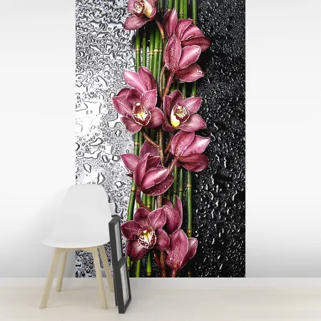 Фотообои Орхидеи, арт. 60627, пример фотообоев на стене