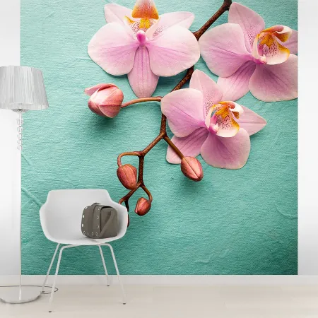 Фотообои Орхидея, арт. 60630, пример фотообоев на стене