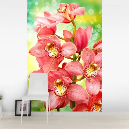 Фотообои Орхидея, арт. 60631, пример фотообоев на стене