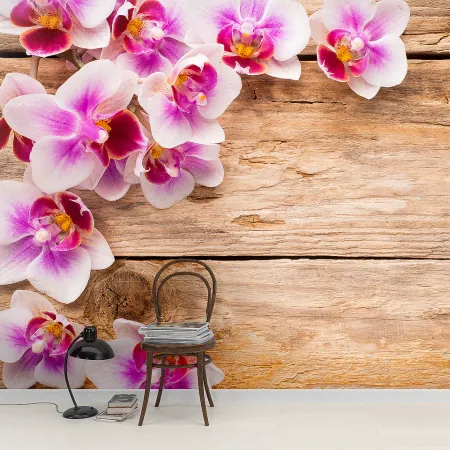 Фотообои Розовые орхидеи, арт. 60634, пример фотообоев на стене
