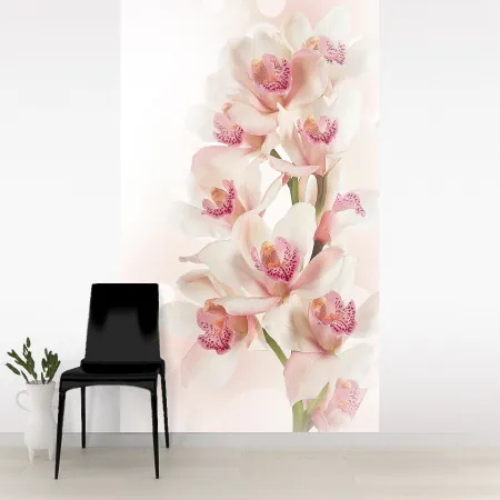 Фотообои Нежная орхидея, арт. 60643, пример фотообоев на стене