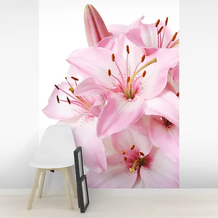 Фотообои Розовые лилии, арт. 60644, пример фотообоев на стене