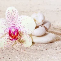 Фотообои Орхидеи на песке, арт. 60659, основное изображение
