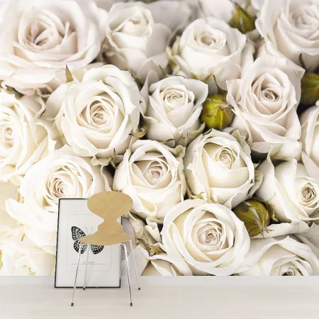 Фотообои Белые розы, арт. 60671, пример фотообоев на стене